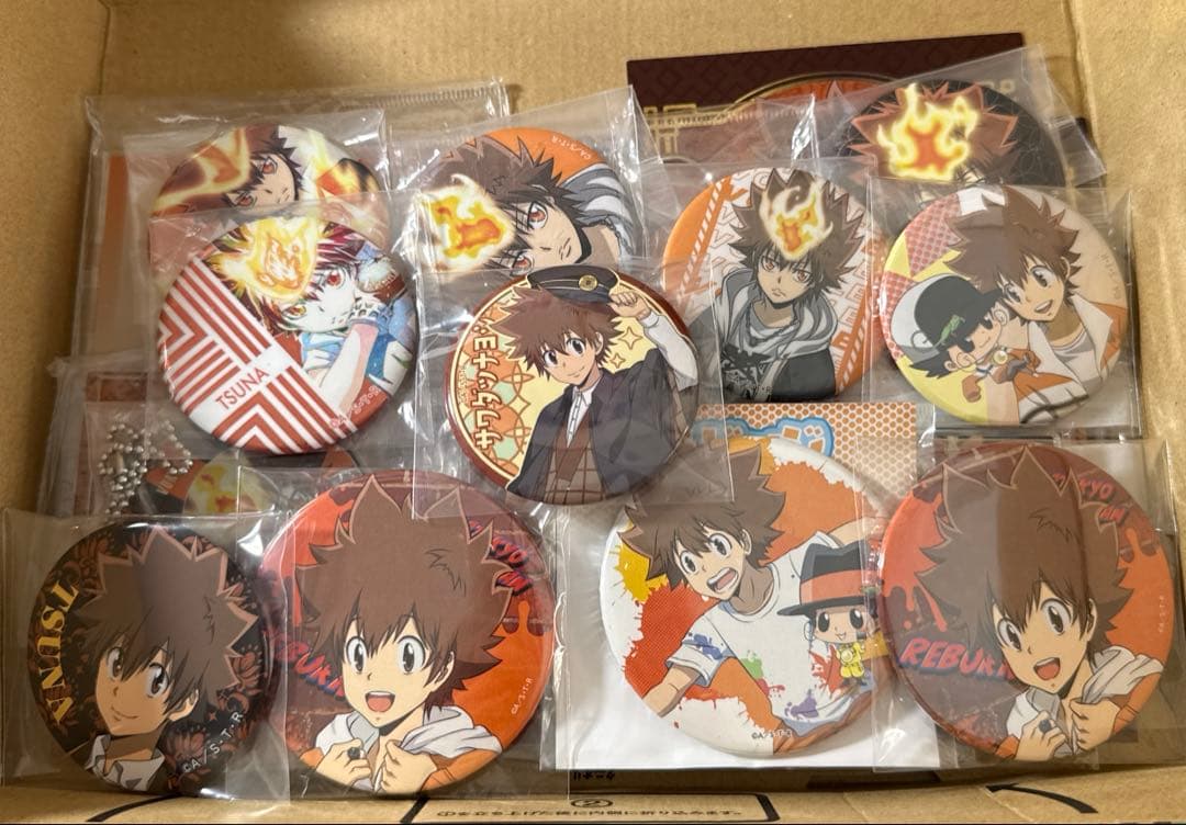 家庭教師ヒットマンREBORN まとめ売り 沢田綱吉