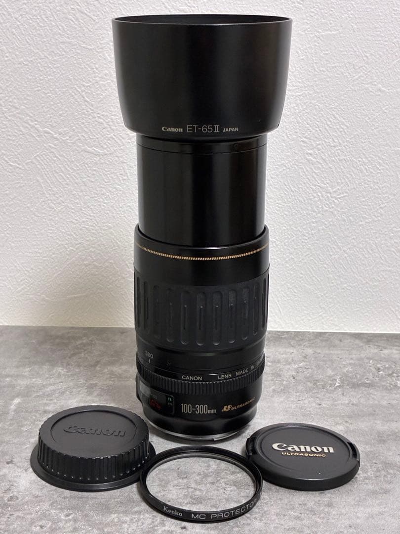 ⭐️美品⭐️キャノンCanon EF 100-300mm 4.5-5.6 USM