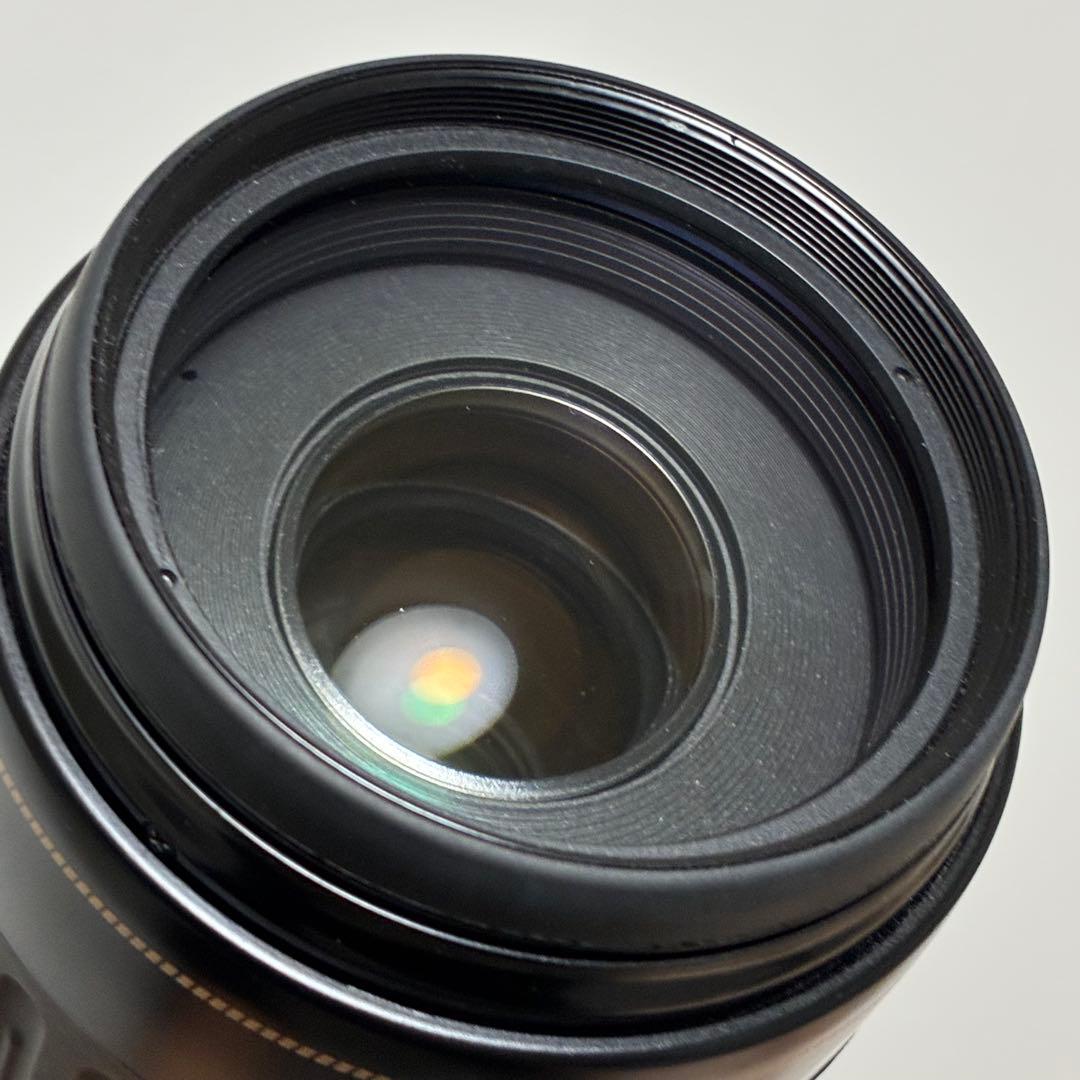 ⭐️美品⭐️キャノンCanon EF 100-300mm 4.5-5.6 USM