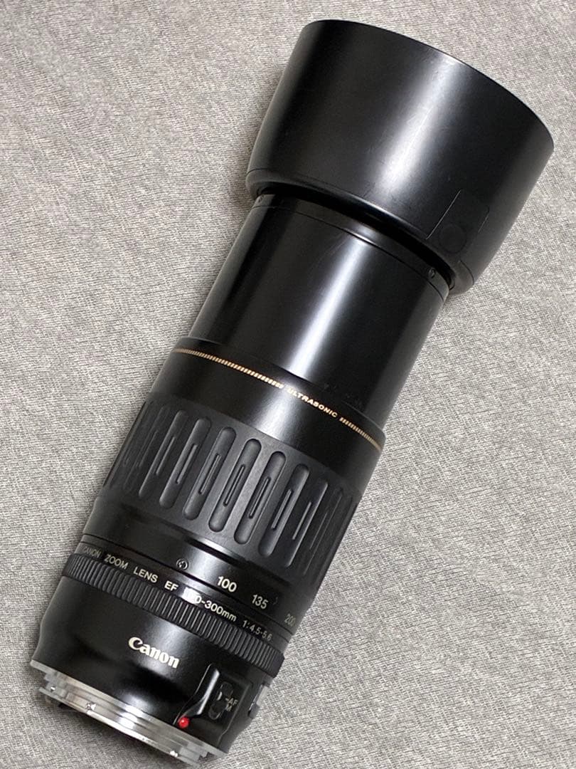 ⭐️美品⭐️キャノンCanon EF 100-300mm 4.5-5.6 USM