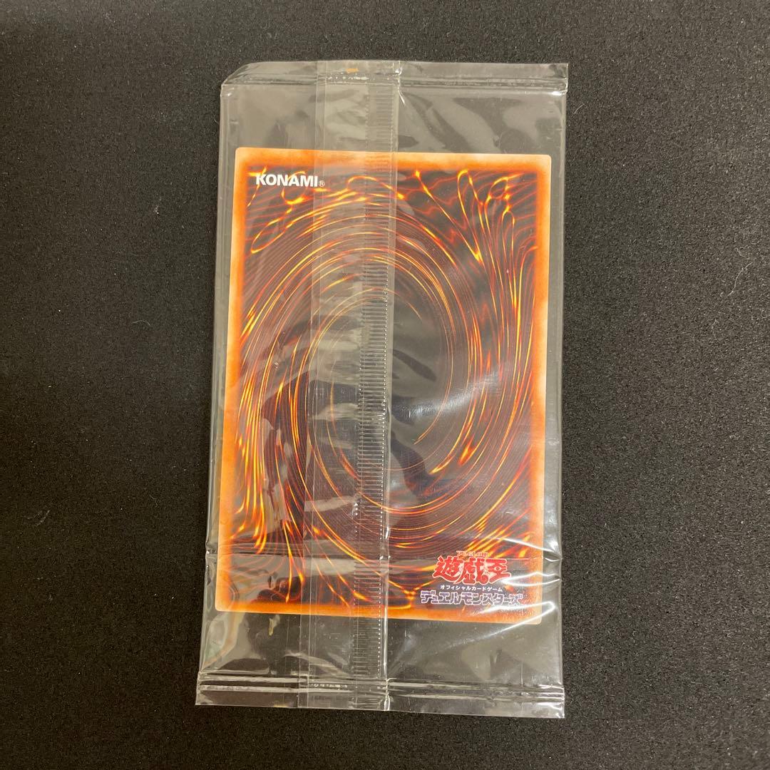 ⭐️未開封⭐️ 混沌帝龍 －終焉の使者－　カオスエンペラードラゴン　レリーフ