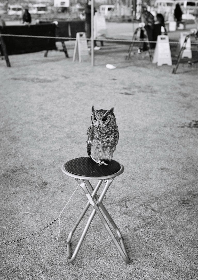 ペンタックス Pentax MX SMC PENTAX-M 50mm F1.4