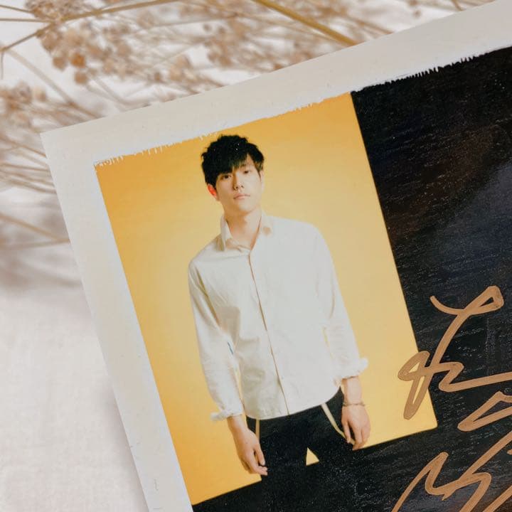 松山ケンイチ　直筆サイン入りポラロイド