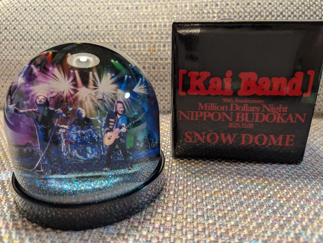 甲斐バンド　スノードーム　コンサートVIP特典 ①