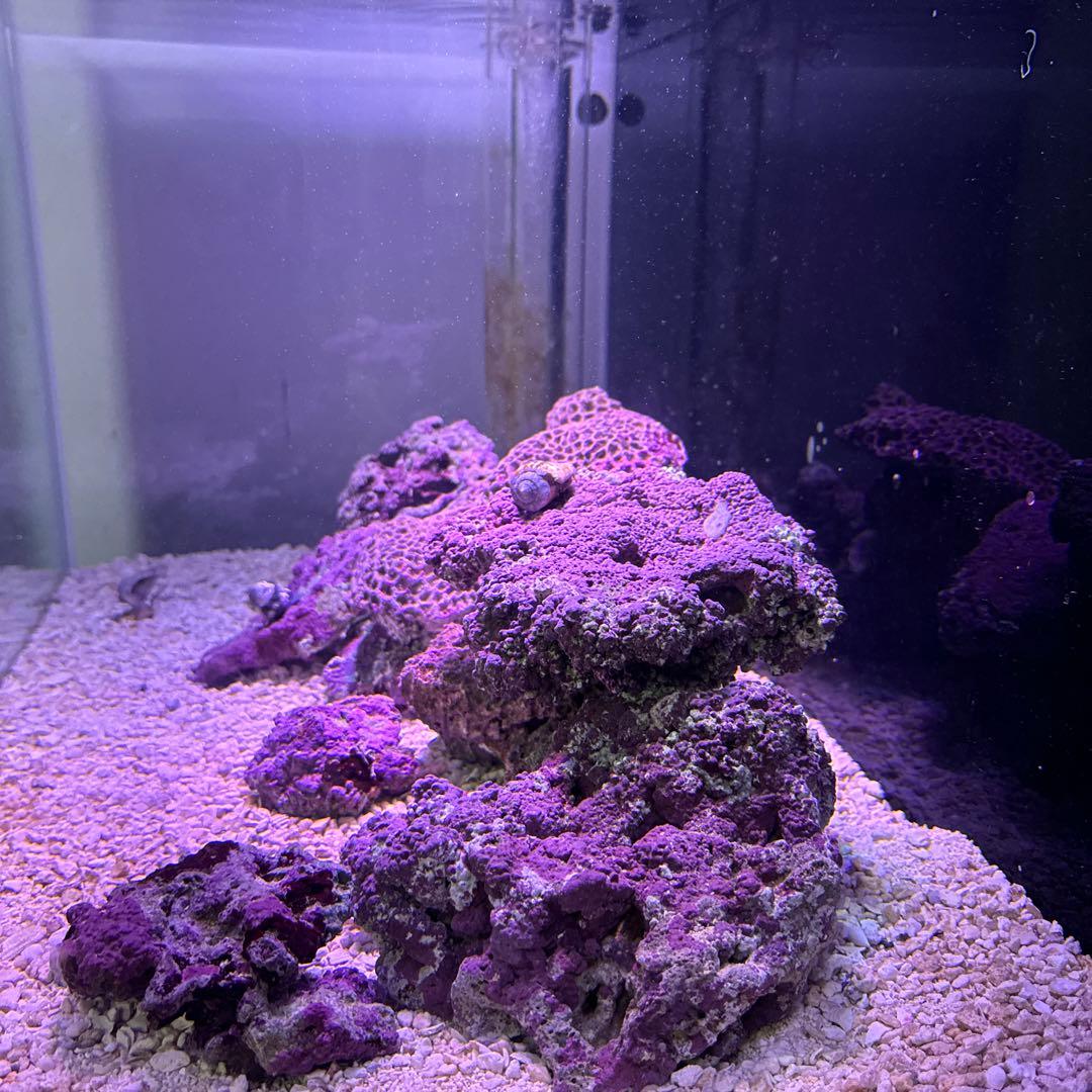 ライブロック　11kg