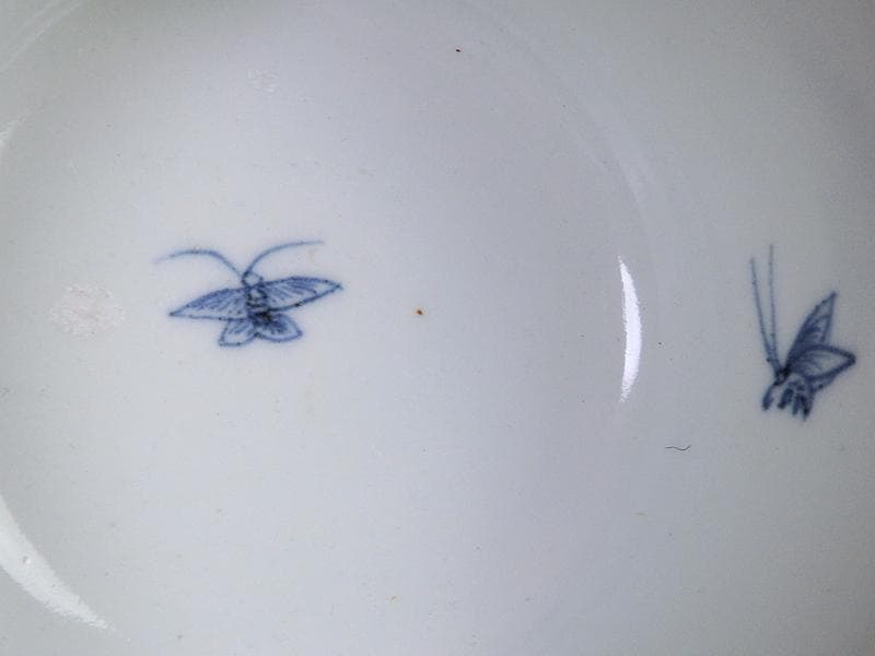 古伊万里　染付　人参に蝶の図　蓋茶碗 江戸期　C452AS-CAy