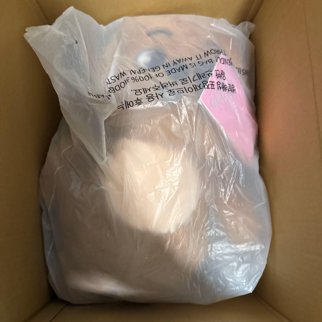 straykids skzoo テディベア ぬいぐるみ 5'CLOCK ハン