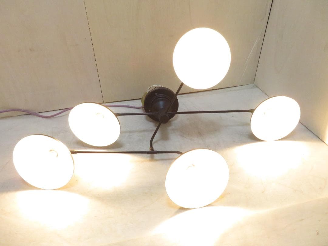 Roanoke ロアノーク シーリングライト 5灯 LED照明 可動式 モダン