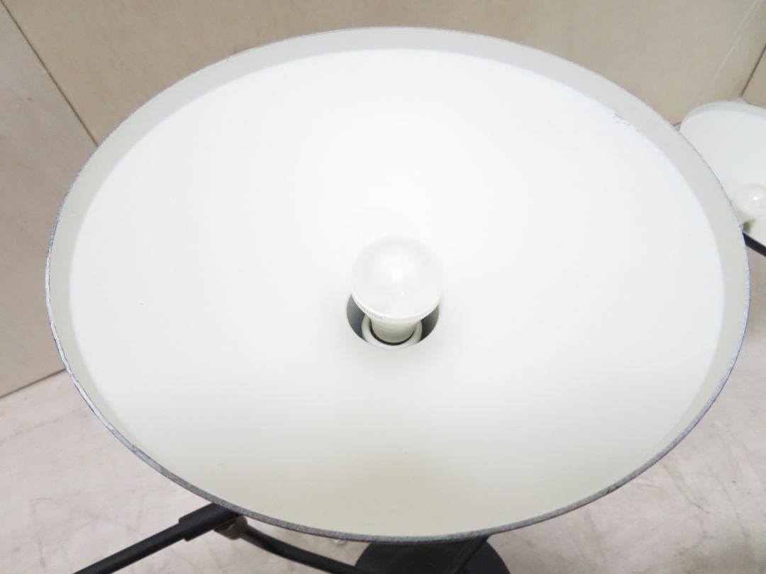 Roanoke ロアノーク シーリングライト 5灯 LED照明 可動式 モダン