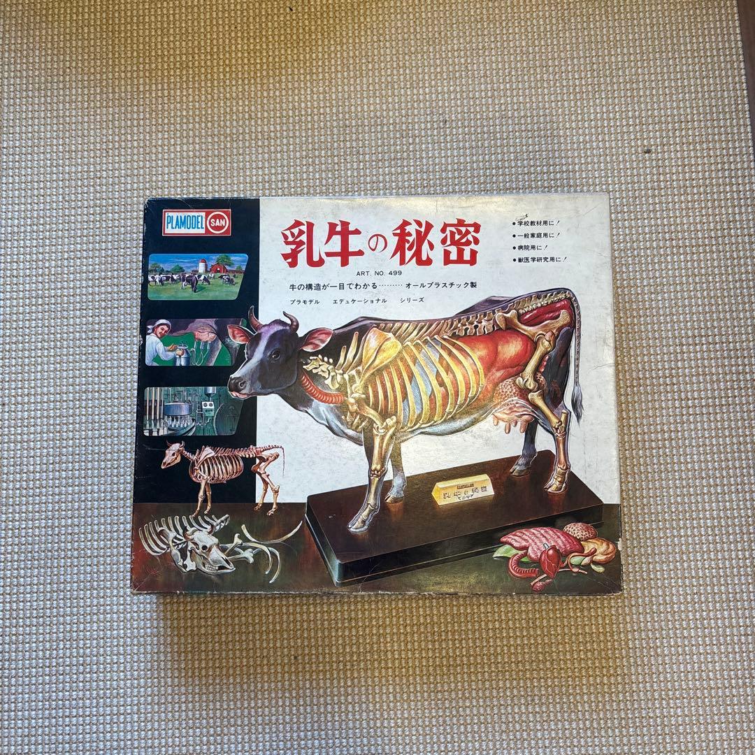 【マルサン】プラモデル　乳牛の秘密（欠けてる部分あり）
