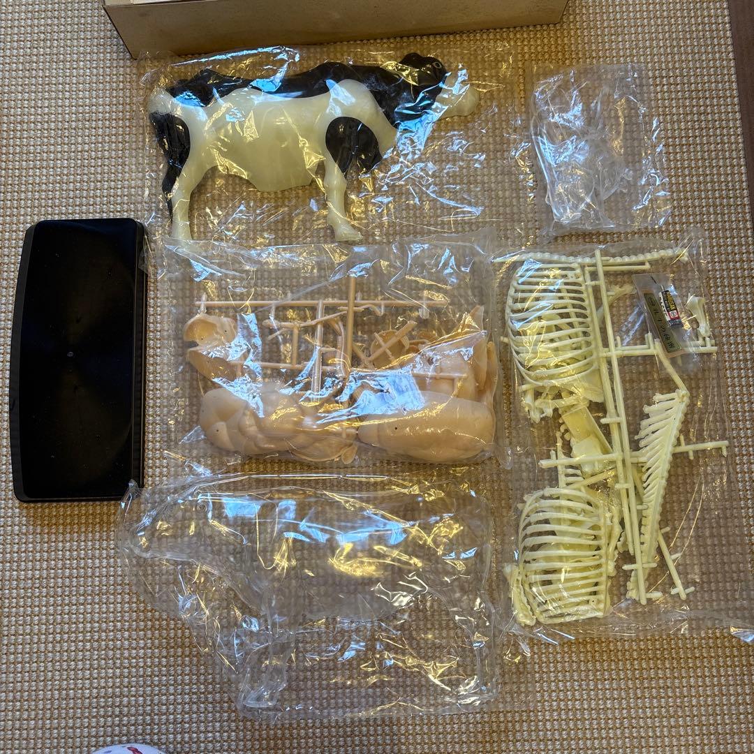 【マルサン】プラモデル　乳牛の秘密（欠けてる部分あり）