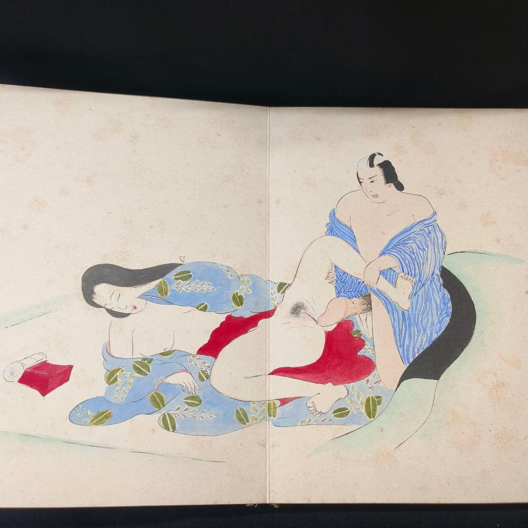 日本絵画 肉筆春画 天理教 御教祖傅 謹演 全14枚 古美術品 桐箱付 和骨董