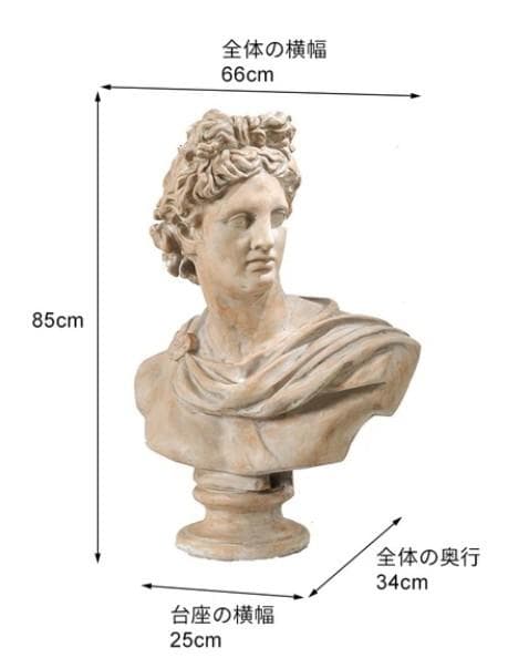 置物 胸像 ギリシア ローマ クラシック アンティーク 85659ST