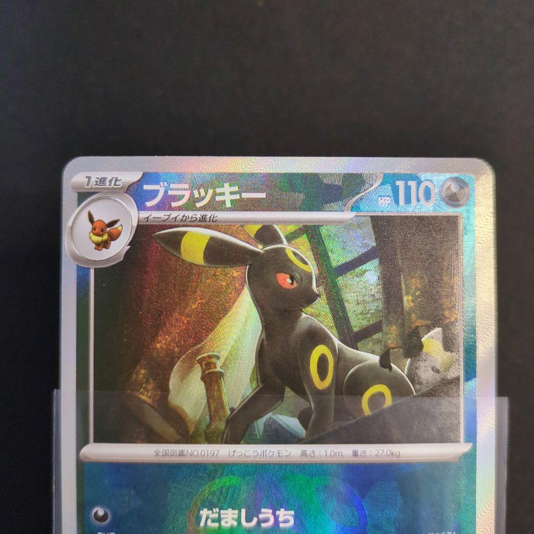 ポケカ　テラフェス　ブラッキーex　SAR　マスボミラー　2枚セット