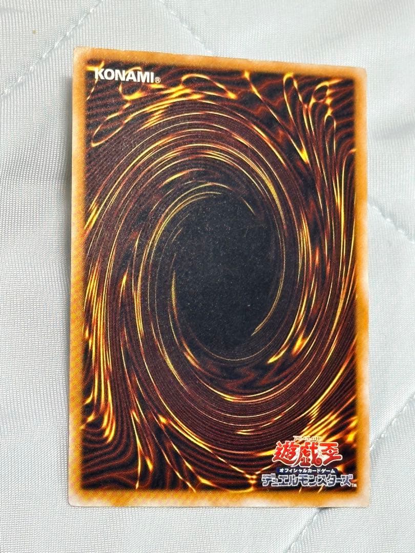 【濃厚青艶】青眼の白龍　レリーフ　sm-51 無加工