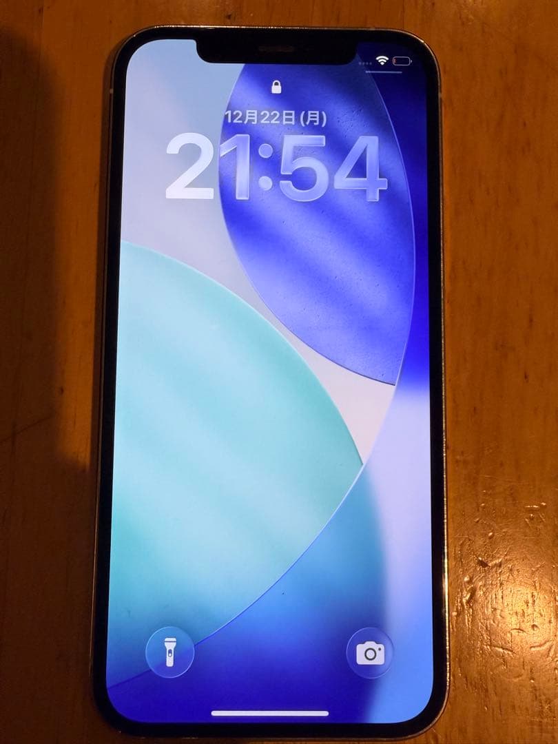 iPhone 12 Pro 256GB シルバー 本体　ジャンク