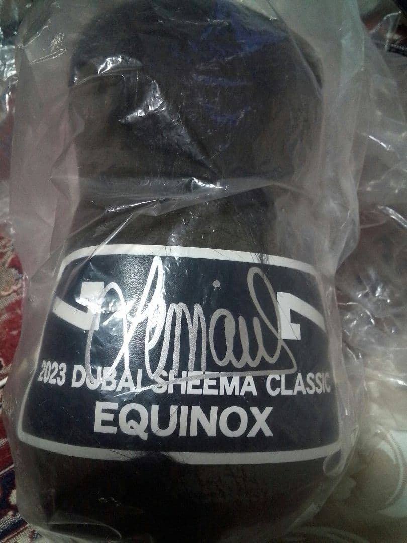 イクイノックス　アイドルホース　ドバイシーマクラシック　サイン入り