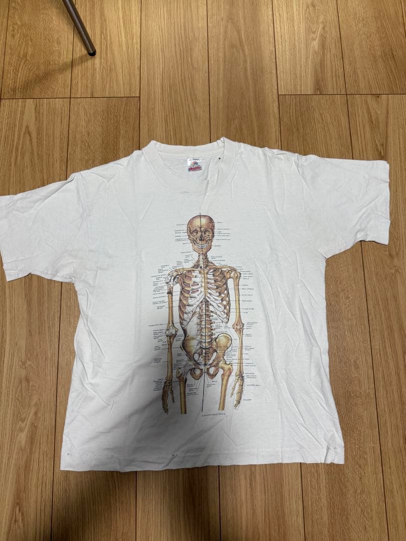 N*A様 解剖図　anatomical chart L カードコバーン ニルバー