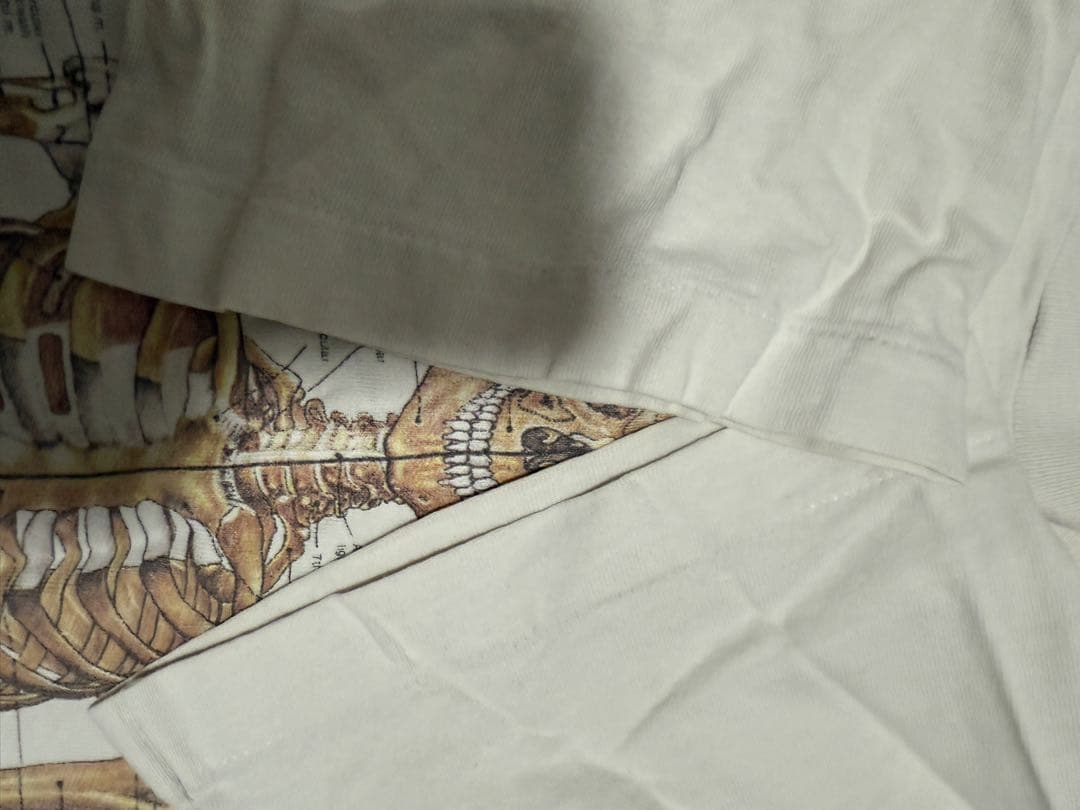 N*A様 解剖図　anatomical chart L カードコバーン ニルバー