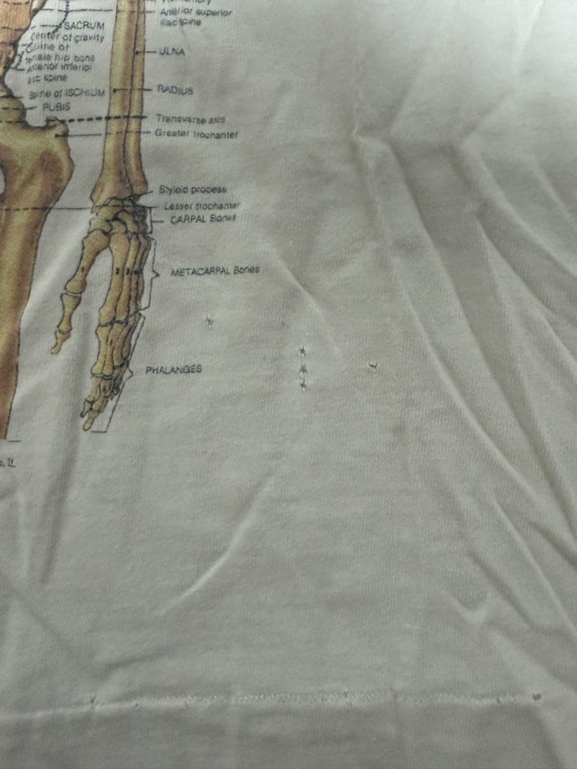 N*A様 解剖図　anatomical chart L カードコバーン ニルバー