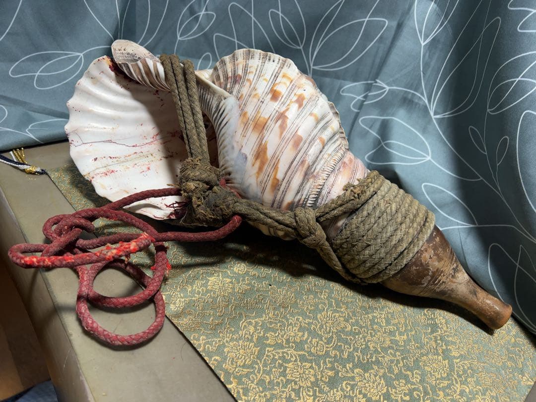 ほら貝 法螺貝 和楽器 貝殻製の楽器