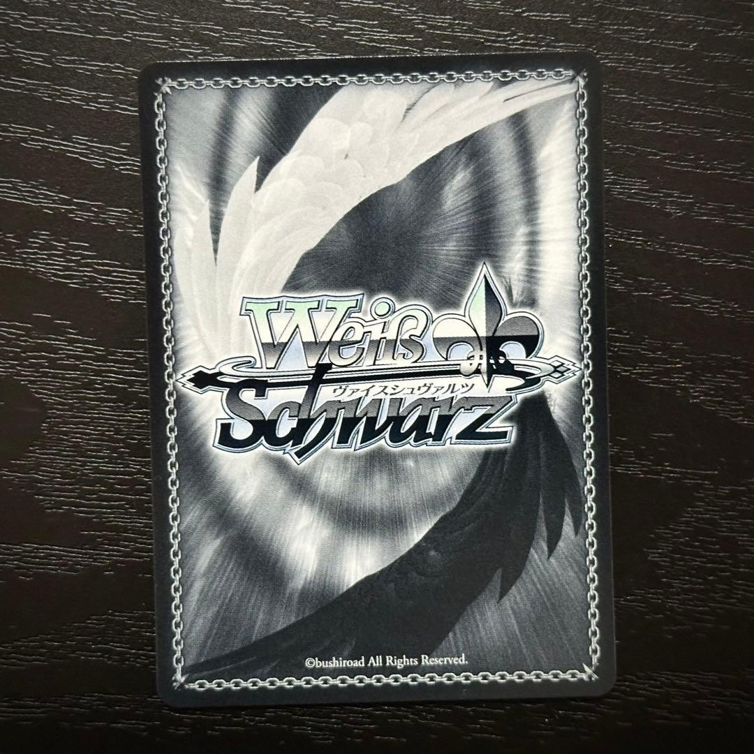 WS レーゲンスブルク SP サイン