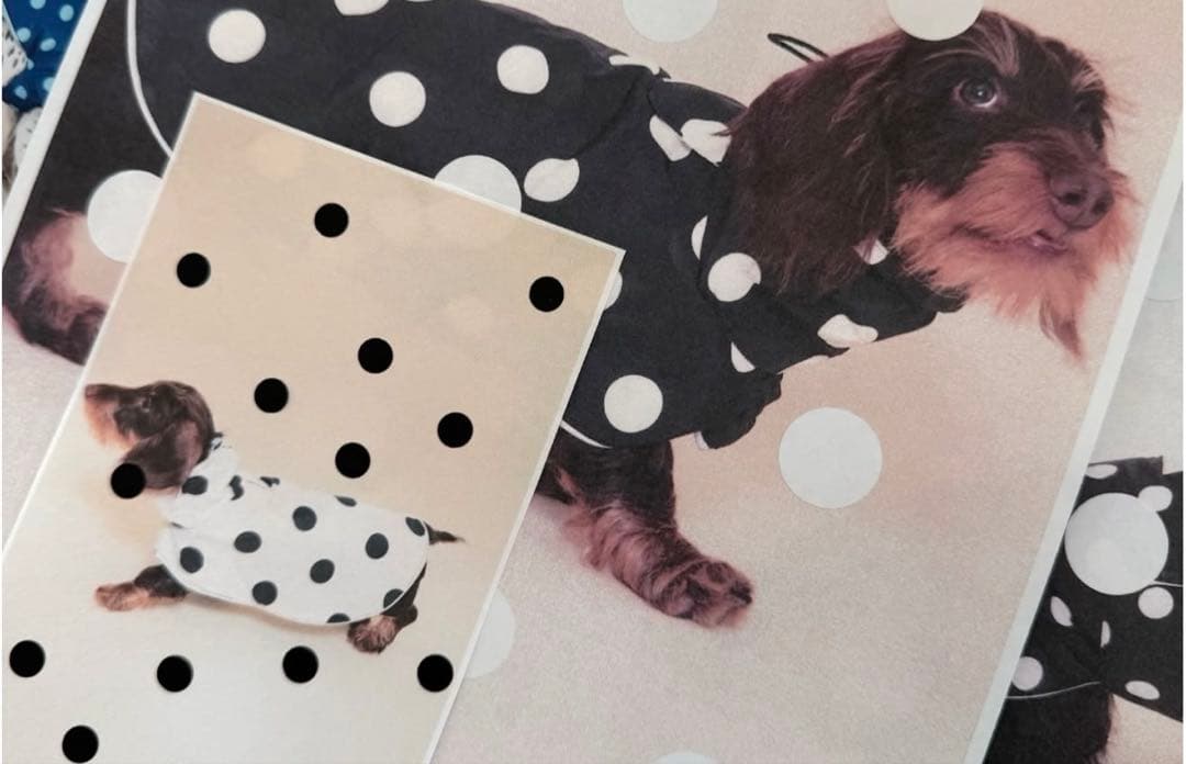 【新品未着用タグ付き】Little Beast Puffer Jacket