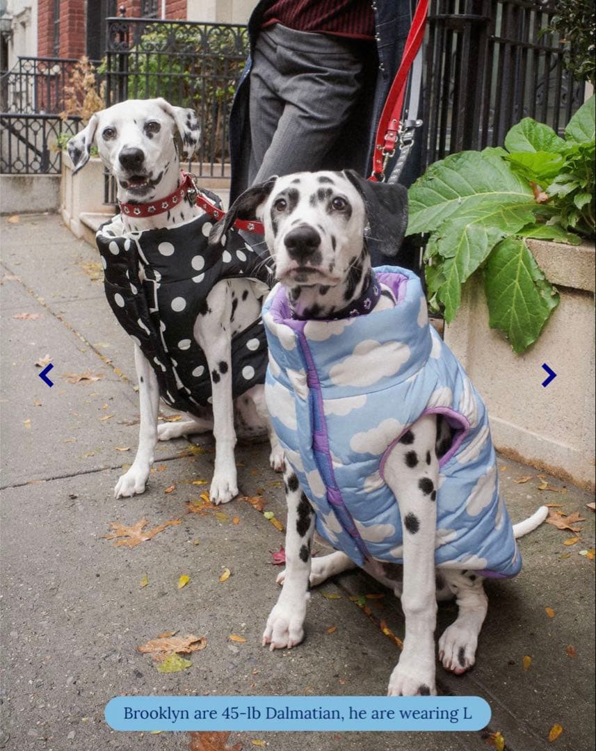 【新品未着用タグ付き】Little Beast Puffer Jacket