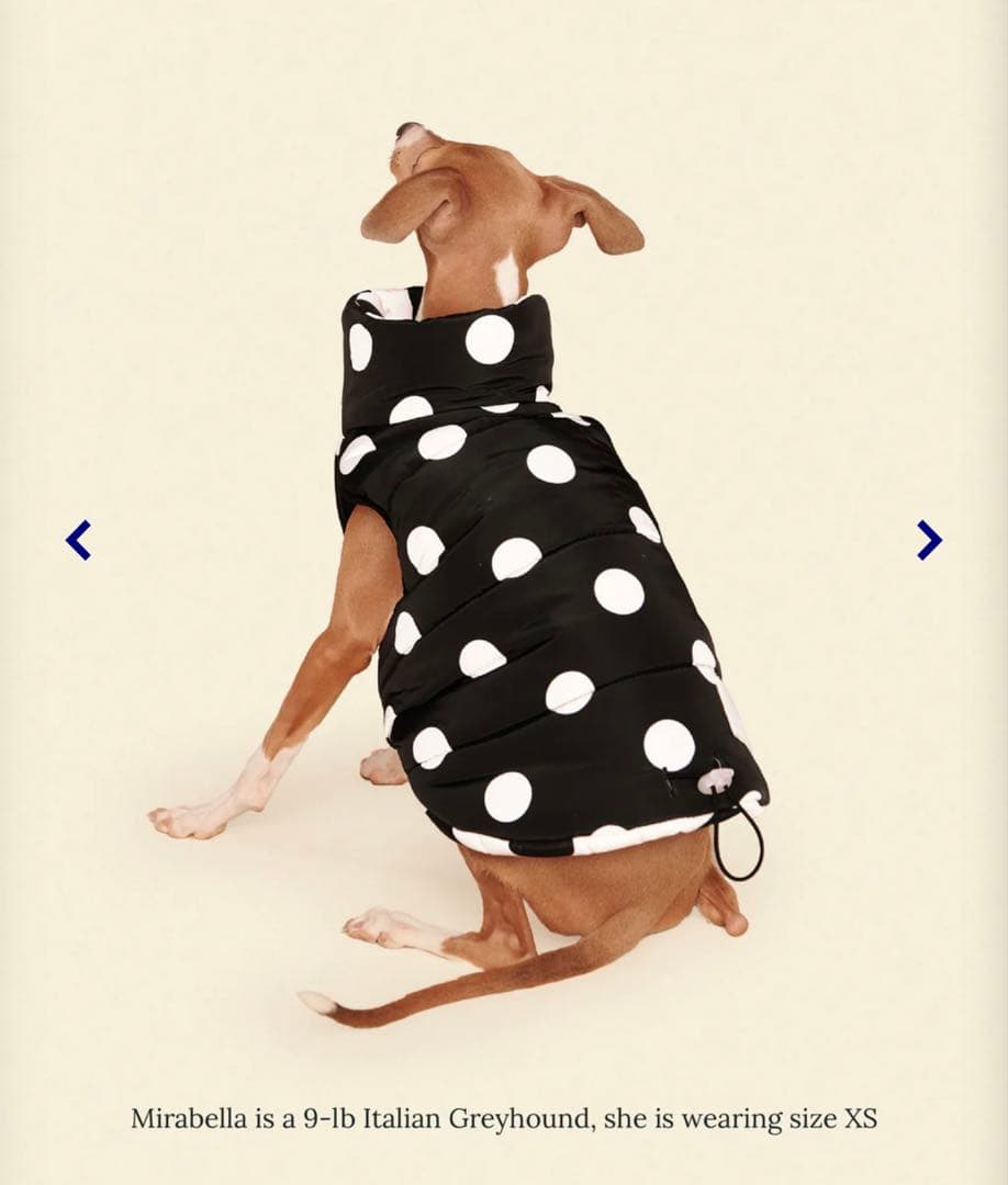 【新品未着用タグ付き】Little Beast Puffer Jacket