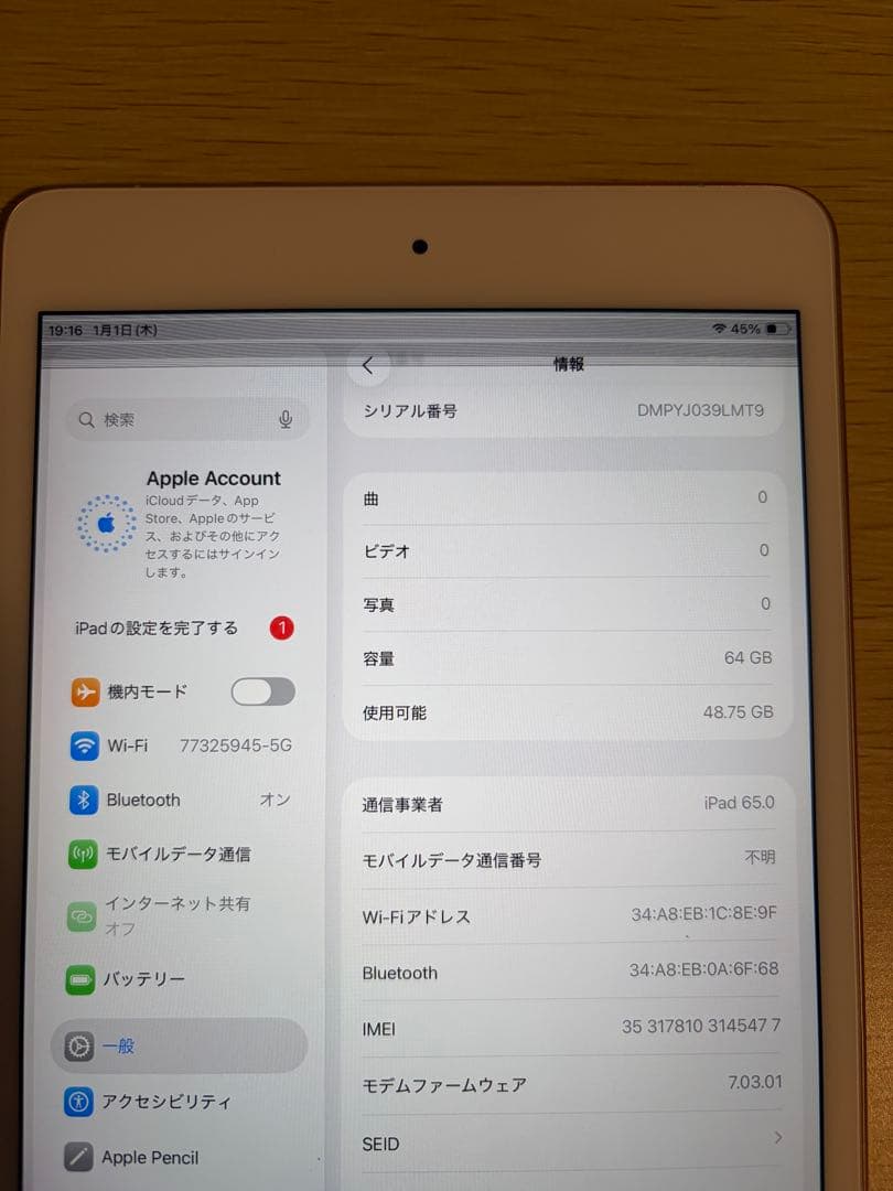 iPad mini 第5世代 Wi-Fi Cellular