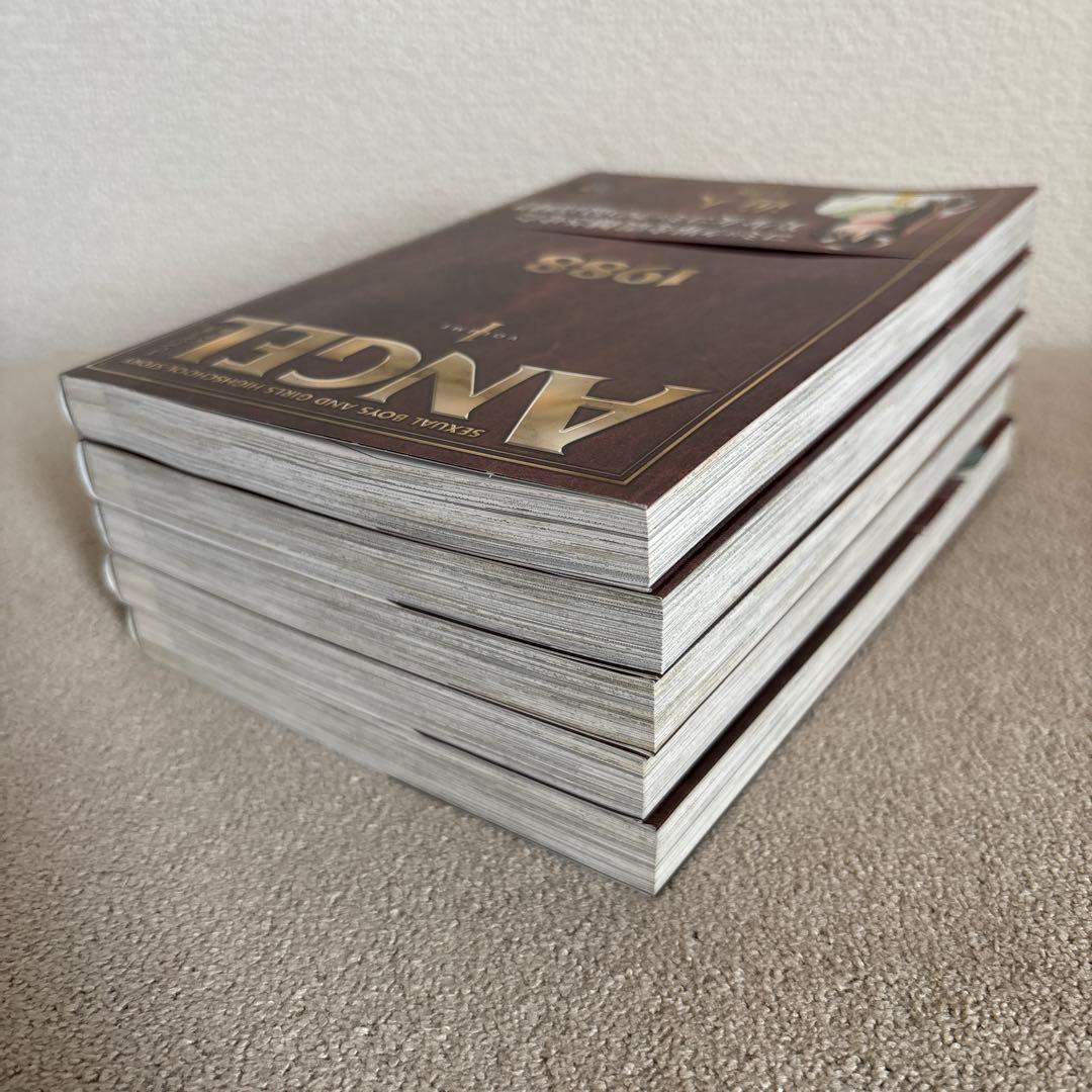 ANGEL 完全版 エンジェル 全5巻 遊人