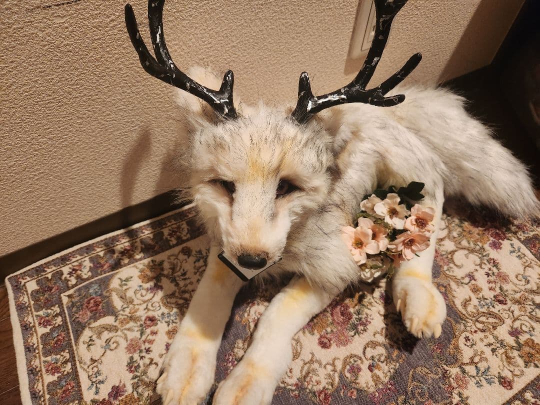 ハラペコ様 すくうコ 【アートドール】