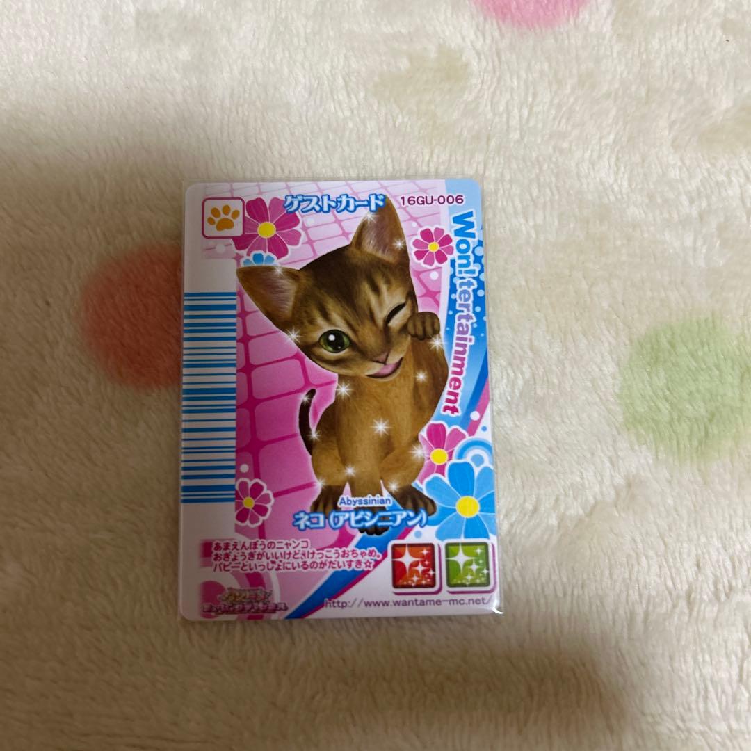 期間限定大幅値下げワンタメカード　ゲストカードネコ裏表カード