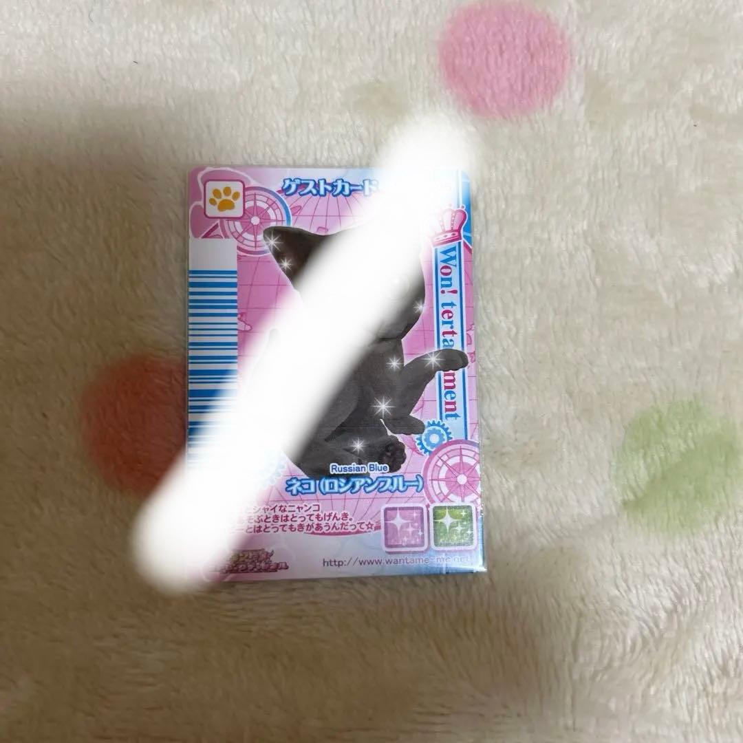 期間限定大幅値下げワンタメカード　ゲストカードネコ裏表カード