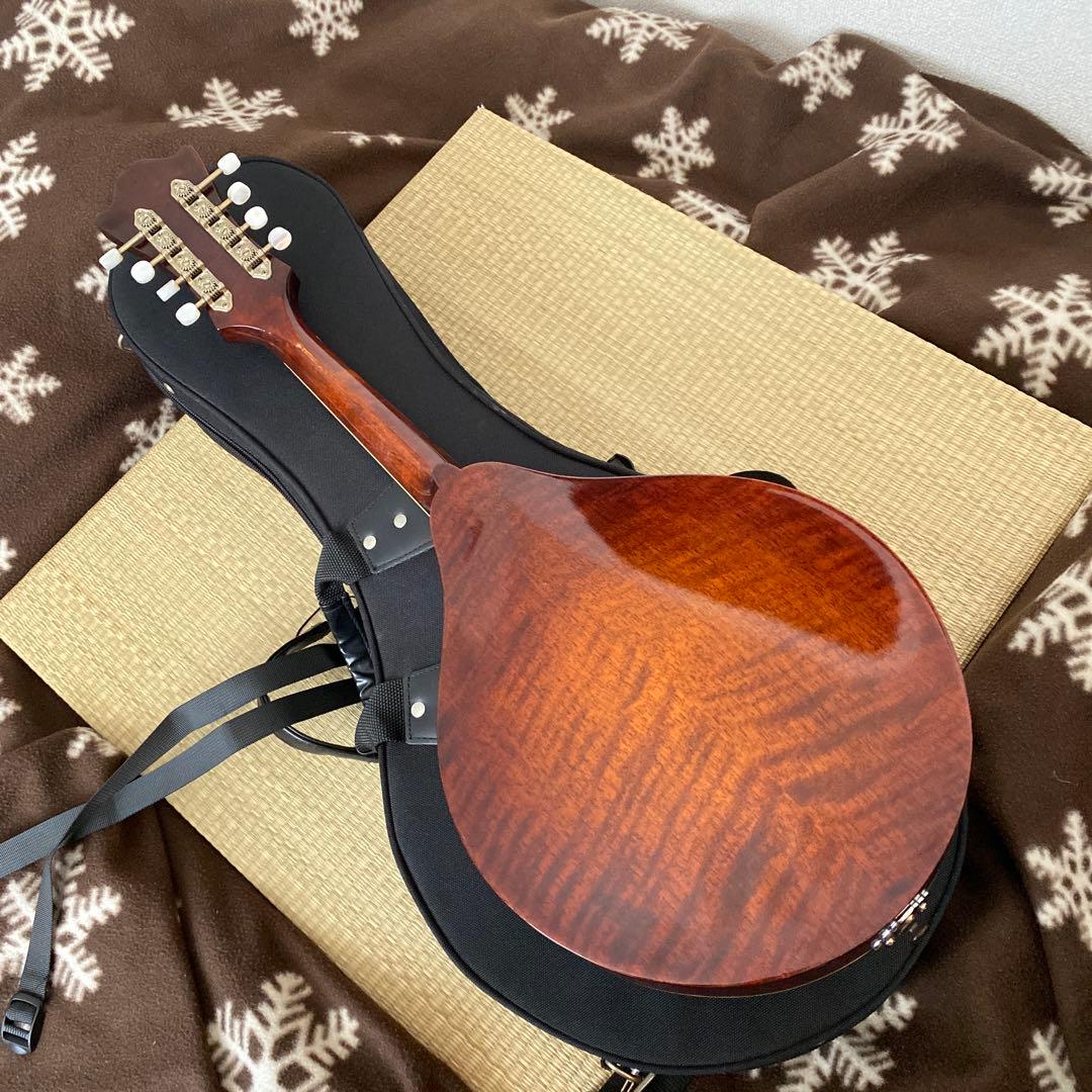 Eastman MD-505/A.Red フラットマンドリン メンテナンス前提で