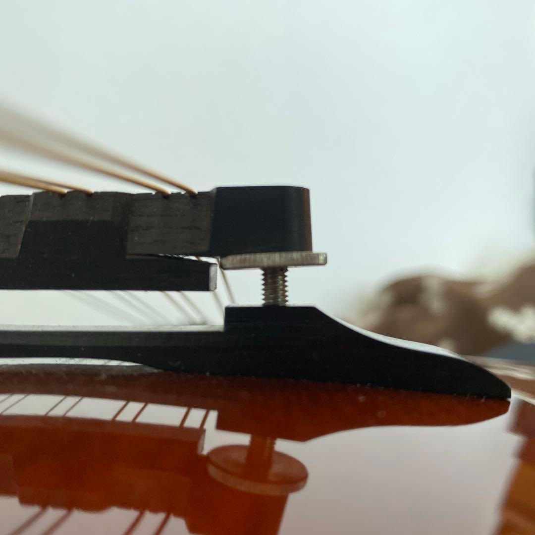 Eastman MD-505/A.Red フラットマンドリン メンテナンス前提で