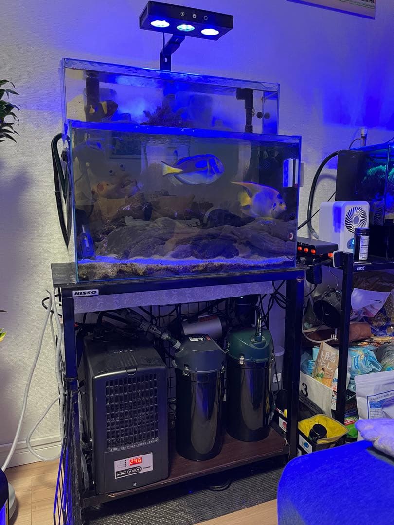 水槽セット【海水魚】