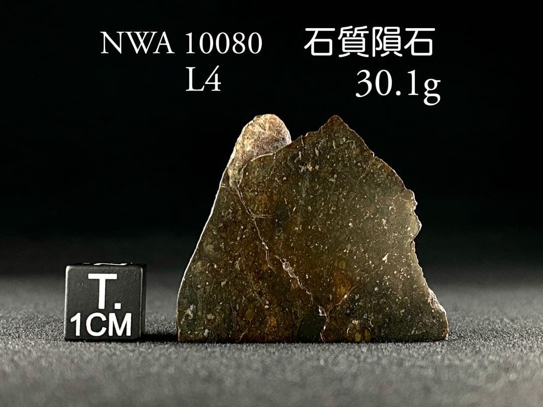 L4 コンドライト NWA10080 石質 隕石 メテオライト 30.1g