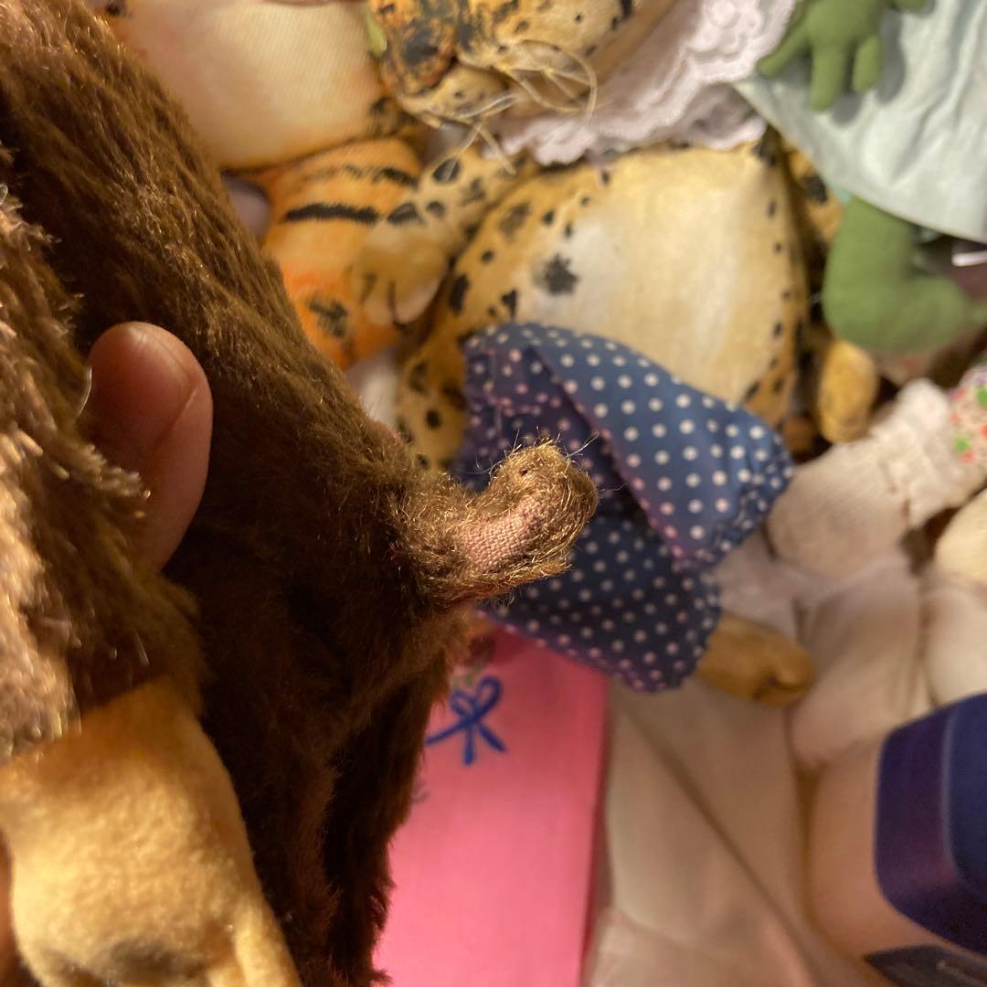 イエスノーシュコー　　Schucoベア　 ドイツ シュコー社schuco