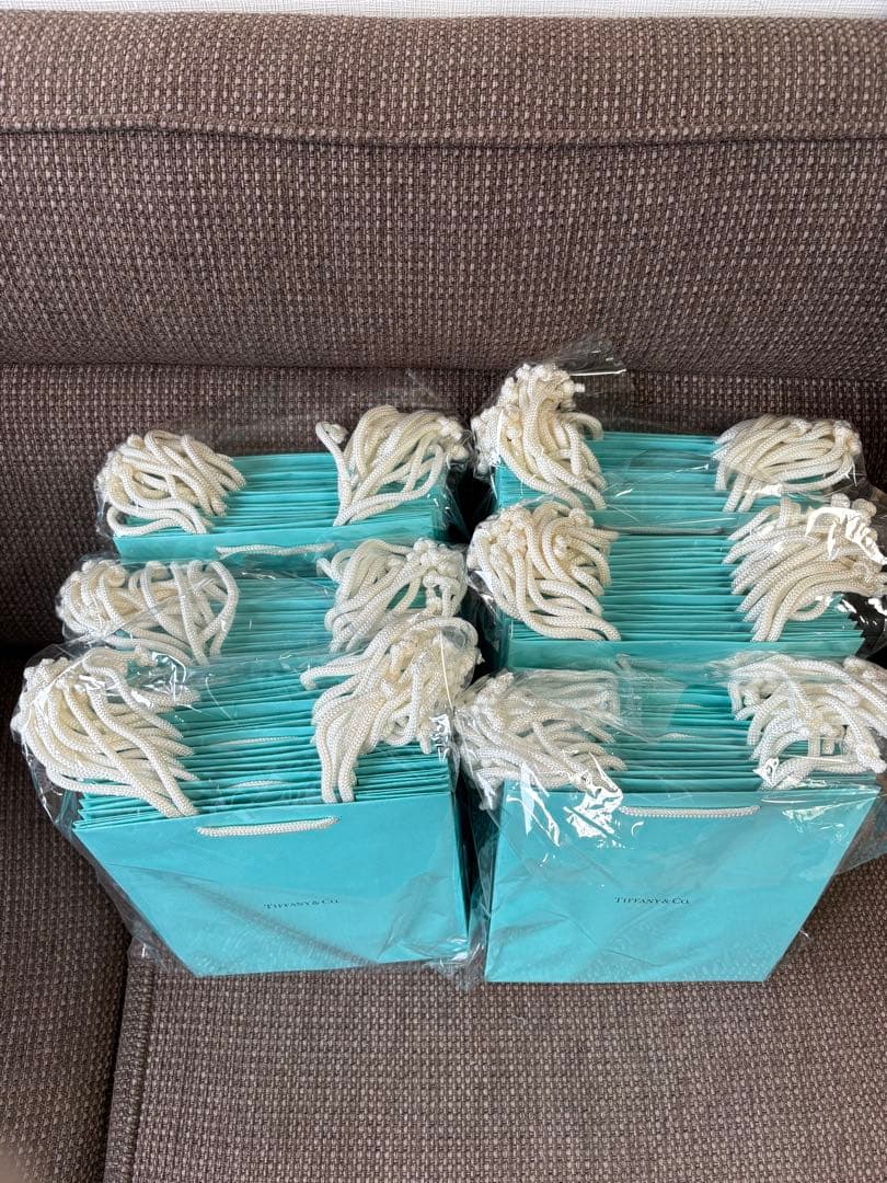 現行品　新品未使用ティファニー ショッピング紙袋60枚セット（20x25cm）