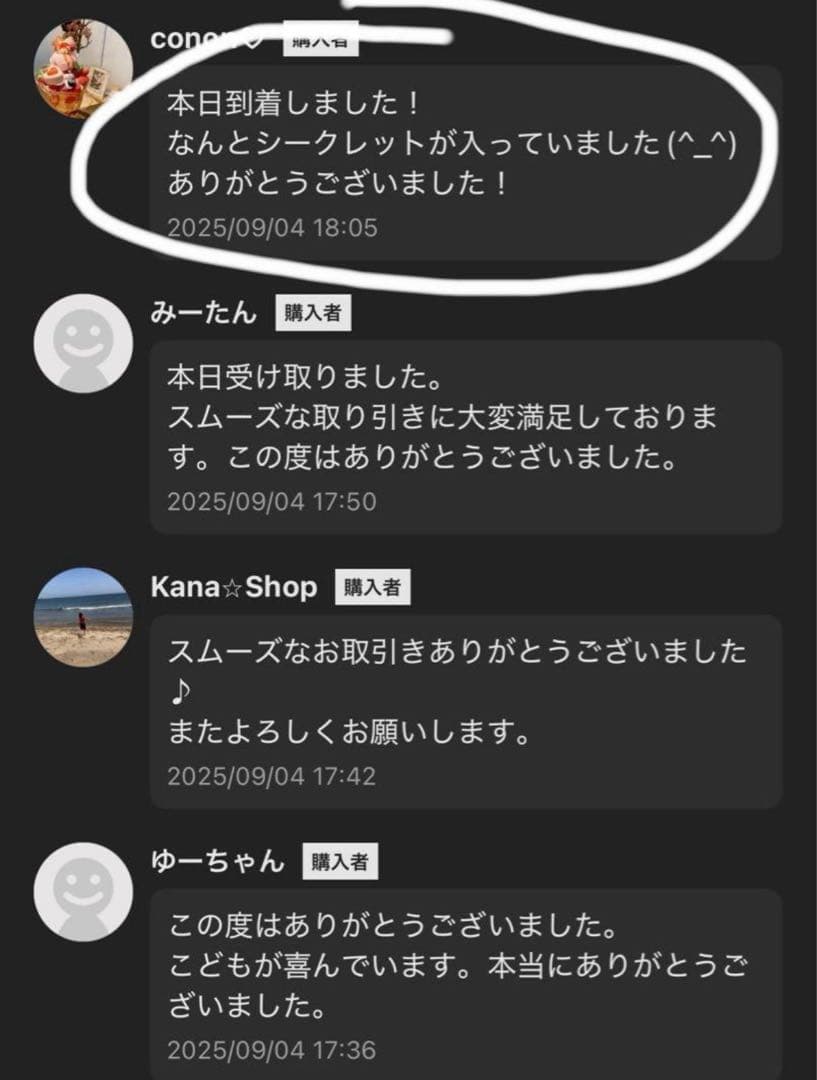 Shinya6113【正規品・未開封】Labubu 4箱