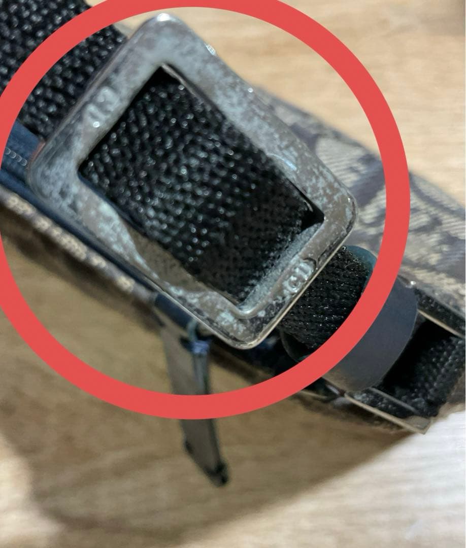 クリスチャンディオール アクセサリーポーチ　トロッター　ミニワンショルダー