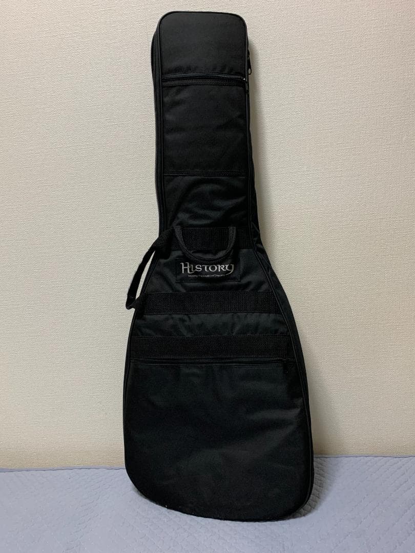 フジゲン製　History 　Z1M-CFS 　アルダーボディ　メイプルネック