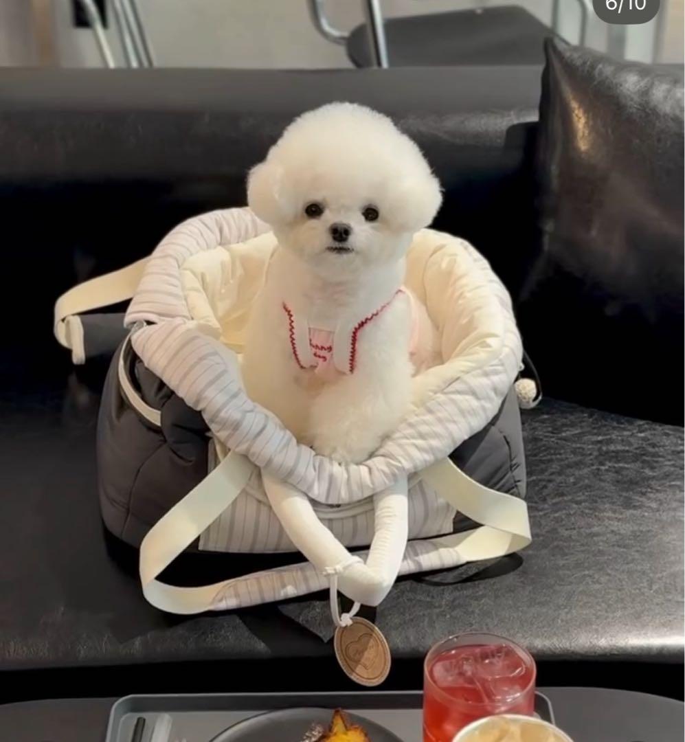 SEORU 韓国 LETTER BAG 完売品