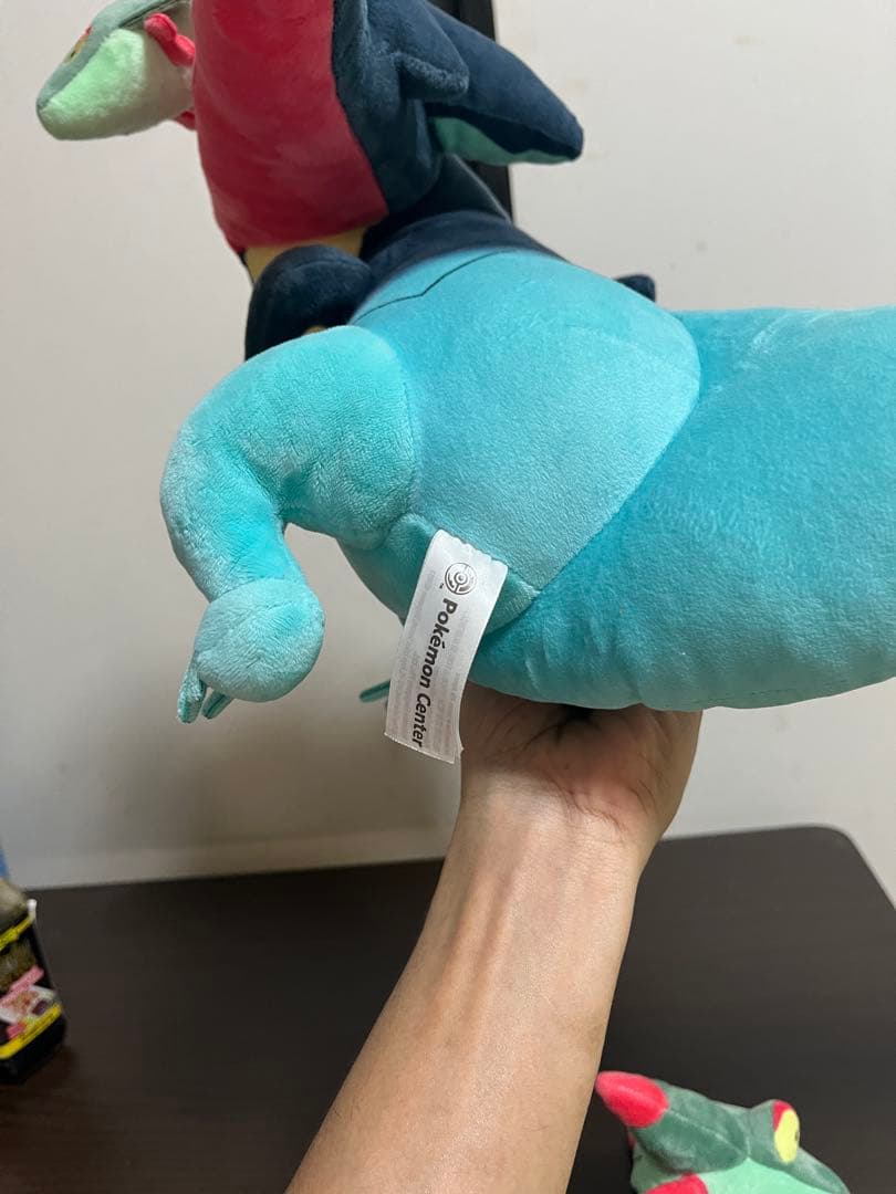 ポケモン ぬいぐるみ ドラパルト ドラメシヤ 12点セット