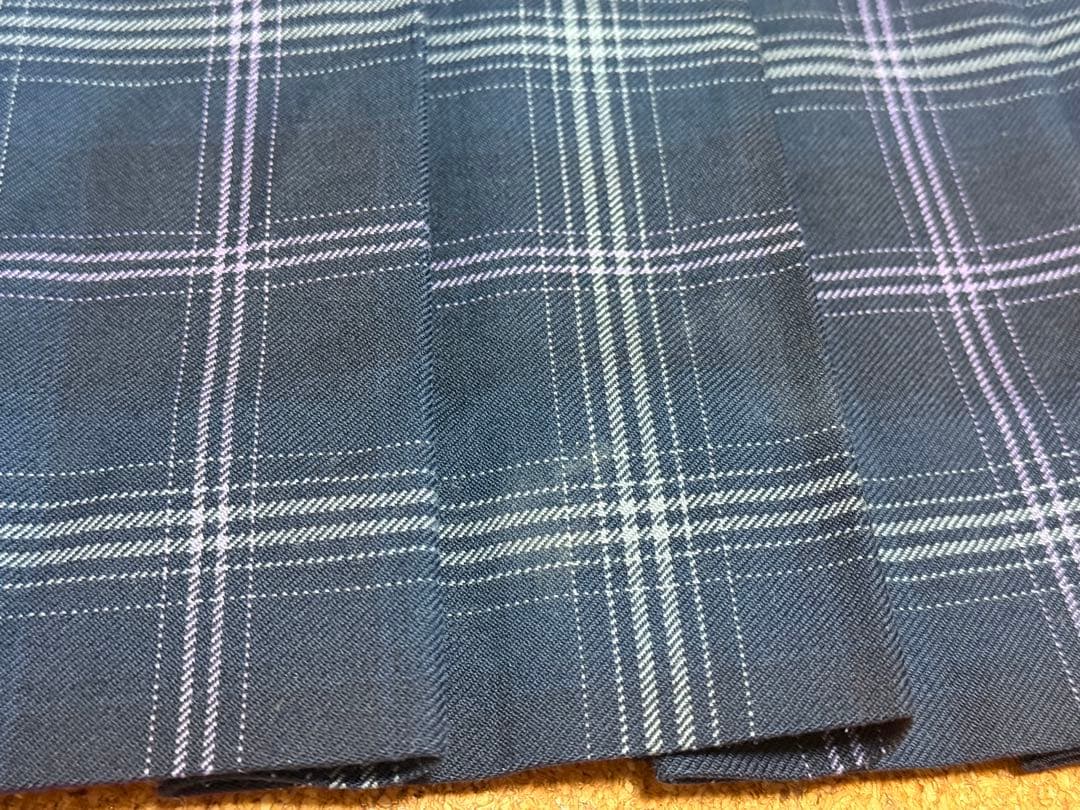 飛鳥未来きずな スカート