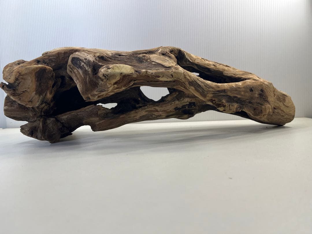 R63アク抜き済み流木 爬虫類シェルター 登り木 インテリア 生け花