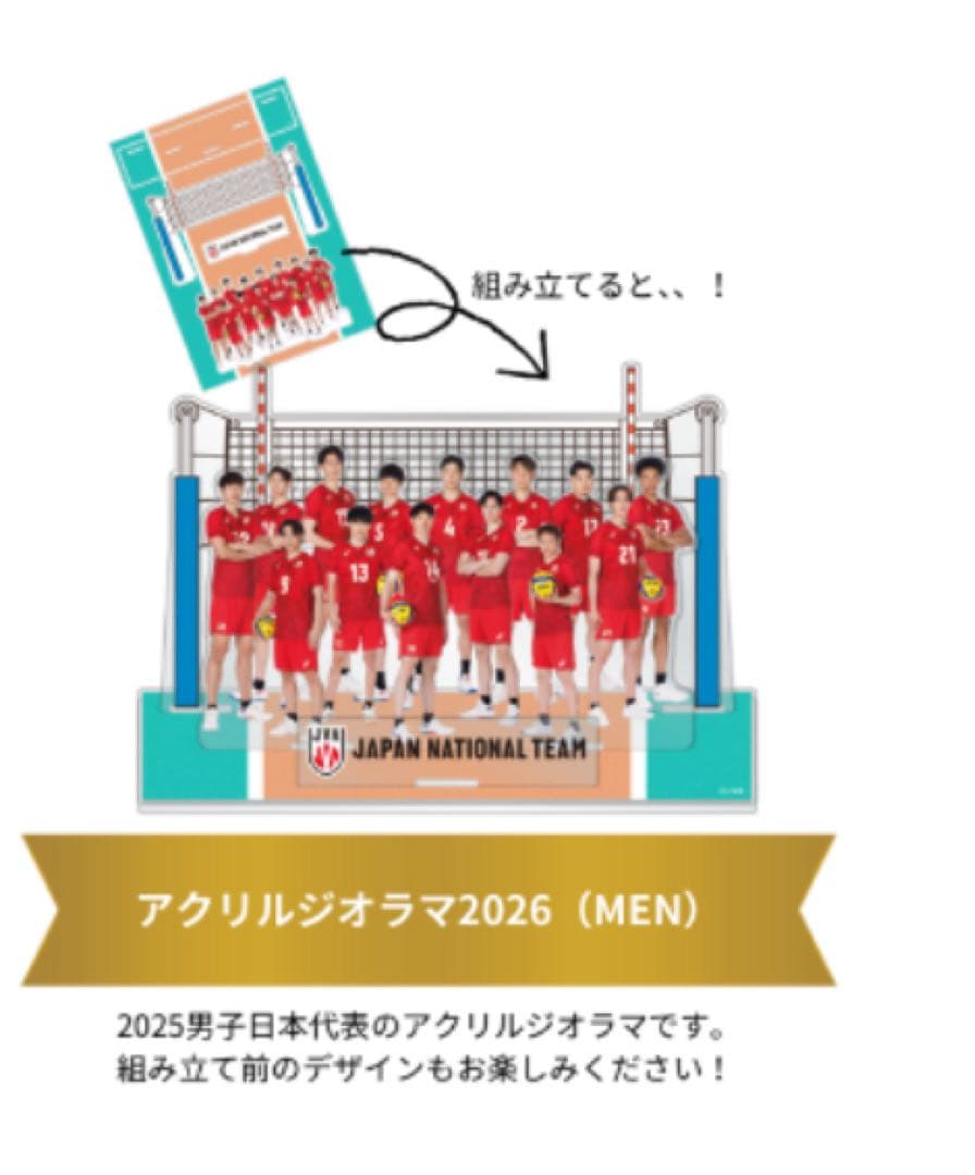 【年内セット販売】【限定】JVA バレーボール男子日本代表　福袋2026