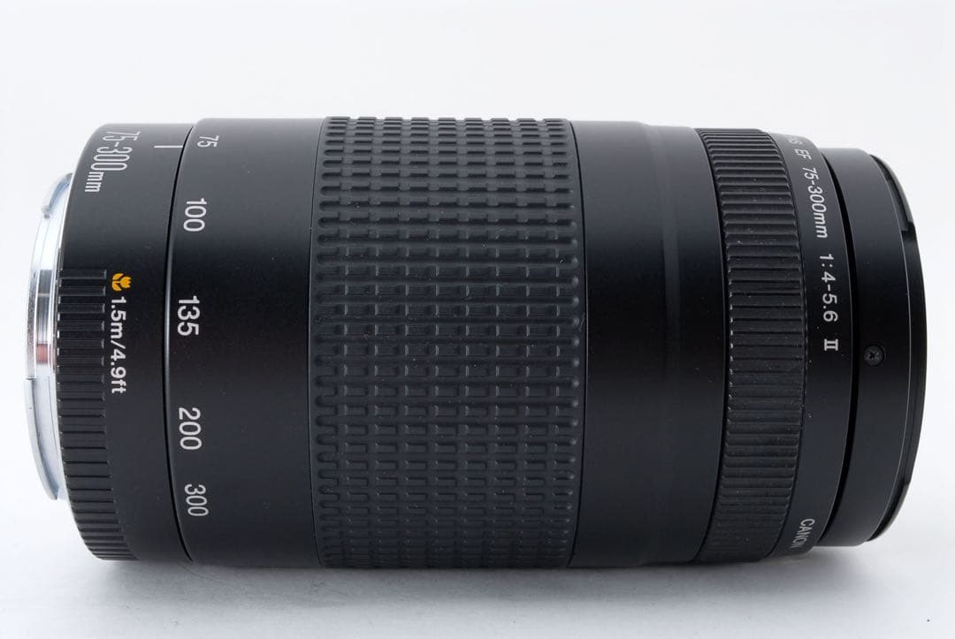 ☆イベント/望遠レンズ/美品/スポーツ/Canon EF75-300㎜☆