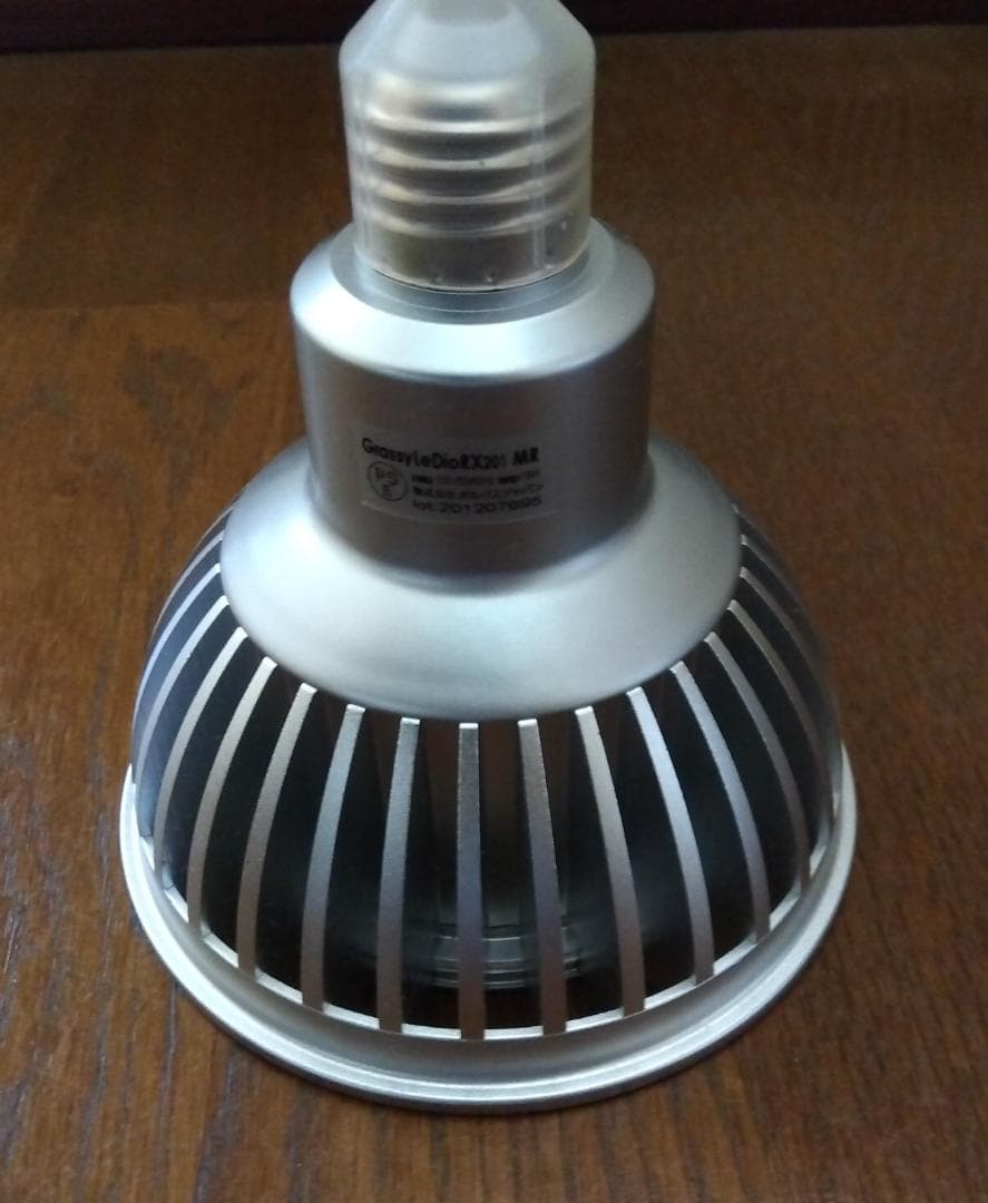 グラッシーレディオＲⅩ201ⅯＲ（マリン）ボルクスジャパン／サンゴ／LED